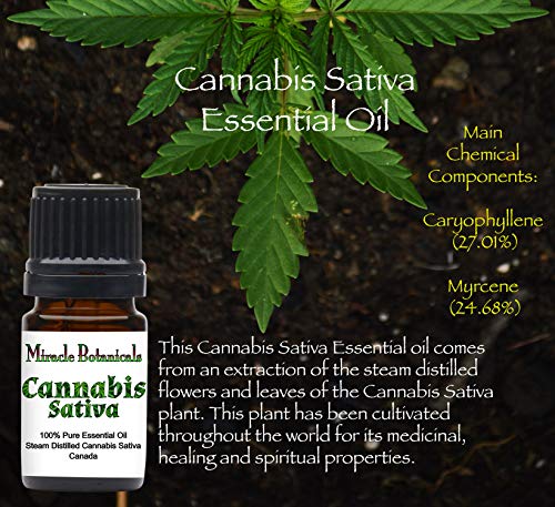 Miracle Botanicals Cannabis Sativa Essential Oil